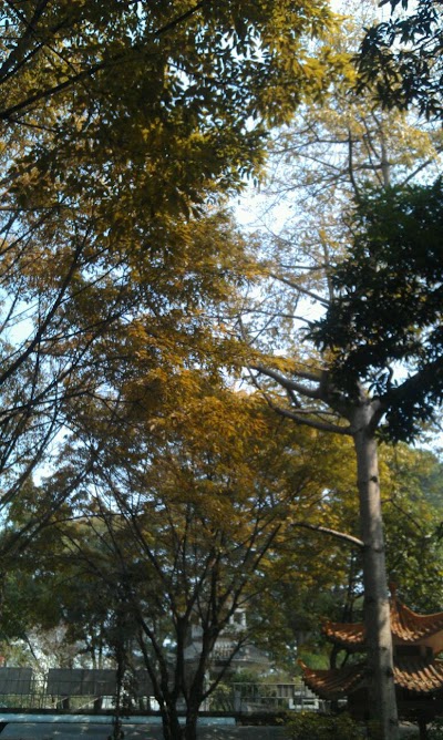 Photos of Longshan High School