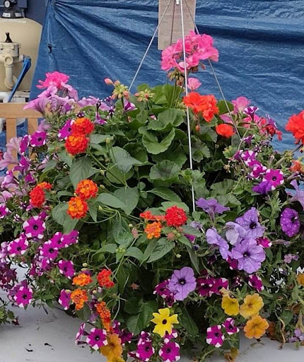 Frattallone's Hardware & Garden - Thumbnail