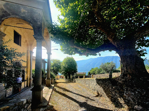 V Cappella – Disputa di Gesù con i dottori del tempio - Thumbnail