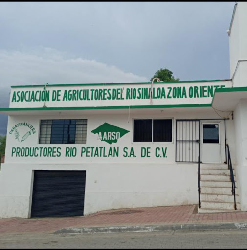 productores rio petatlan sa de cv - Thumbnail