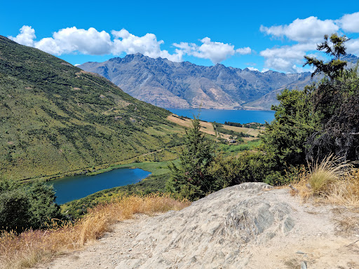 Mt Crichton Loop Track - Thumbnail