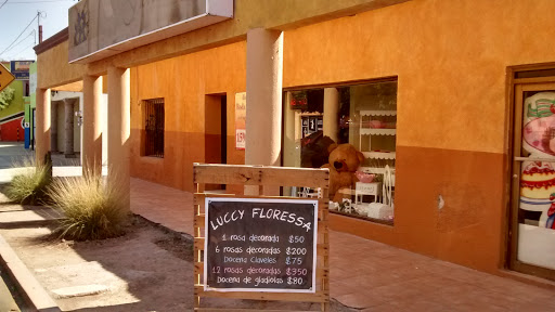 Luccy Floressa - Visual