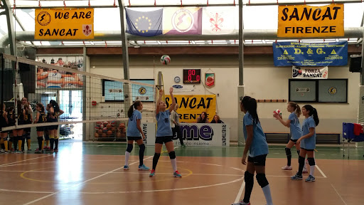 Sancat - Visual