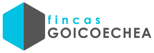 FINCAS GOICOECHEA - Visual