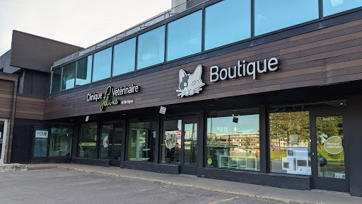 Clinique Vétérinaire Féline de Ste-Foy - Vet et Nous