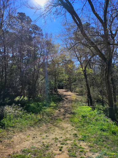 Oxnard Park - Visual