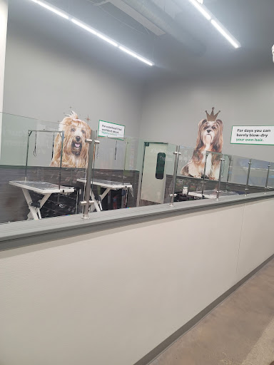 Pet Supplies Plus Dallas - Medallion - Thumbnail