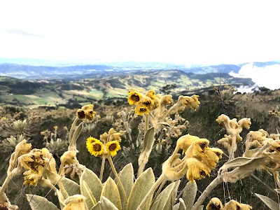 Photos of CERRO EL TABLAZO EN SUPAT&Aacute;