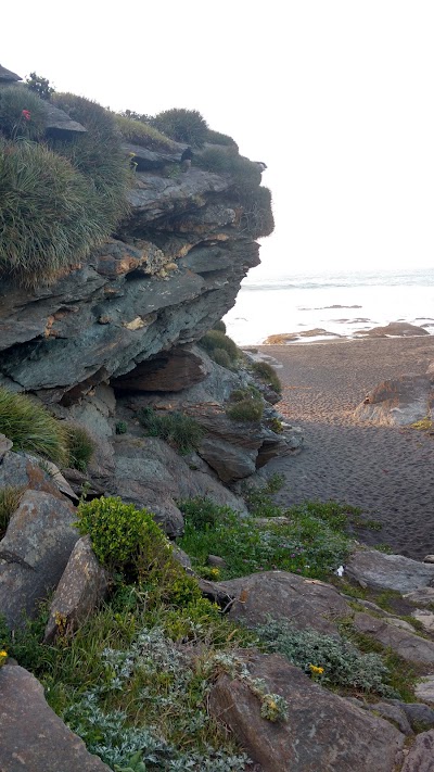Photos of Playa Pellines