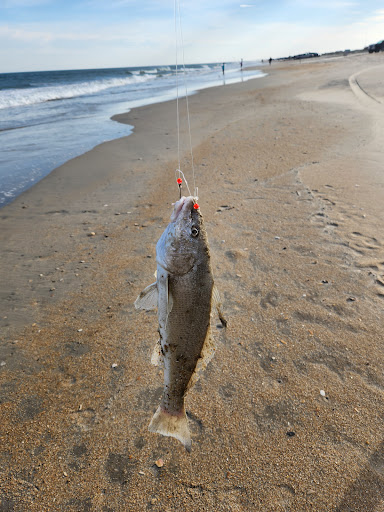 Cape Hatteras National Seashore ORV Ramp 34 - Thumbnail