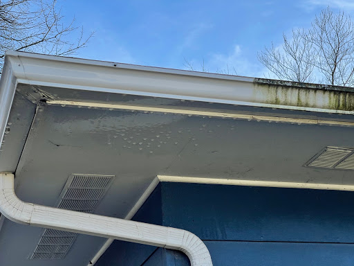 Vortex Power Wash - Visual