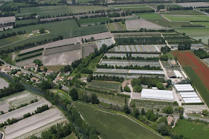 Photo n°17 de Pépinières Michel à Velleron (Pépinière)