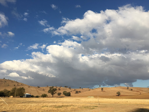 Shearers Quarters Kimo - Thumbnail
