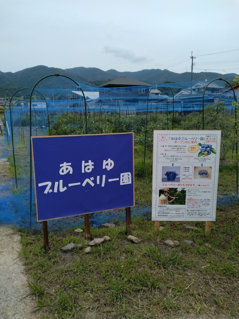 あはゆブルーベリー園