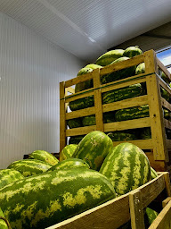 Photo n°17 de L' Essentiel à Capinghem (Grossiste)