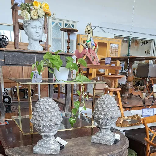 Mercatino USATO Franchising Arezzo Gallery - Italy