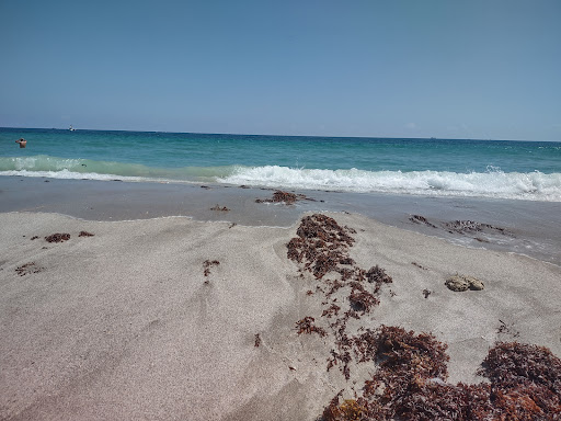 Dania Beach - Visual