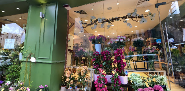 Florăria Floria Ion Câmpineanu
