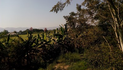 Photos of Mount Inle Hotel & Resorts