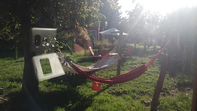 Photos of Hostel Casa Satya