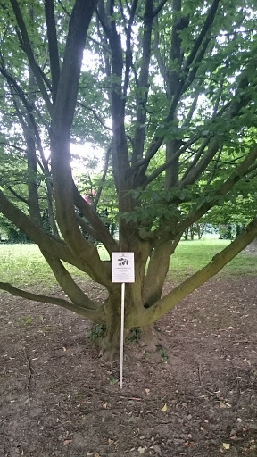 Bio Parco - Thumbnail