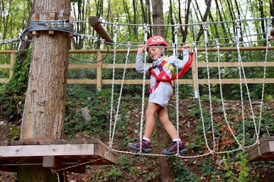 Parco Avventura Flying Frogs