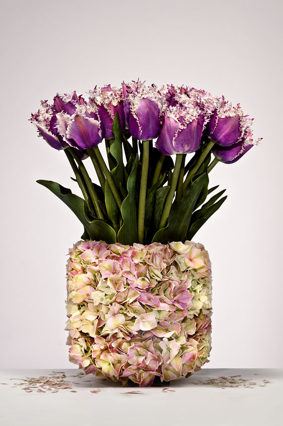 Baptiste Fleurs