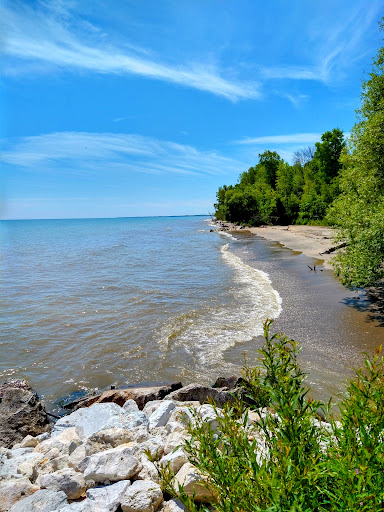 Fischer Creek Conservation Area