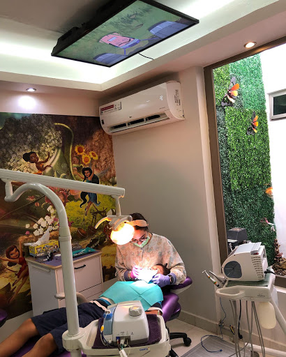 Odontopediatra Dra. Daniela Ahumada - Thumbnail