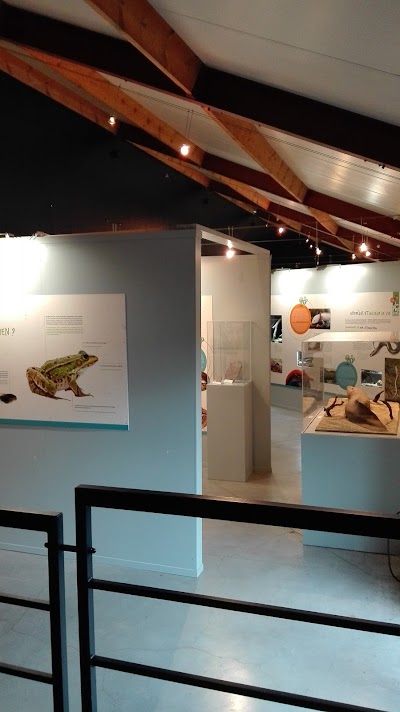 museum