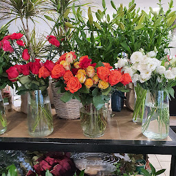 Photo n°18 de Aure'Lys à Saulieu (Fleuriste)