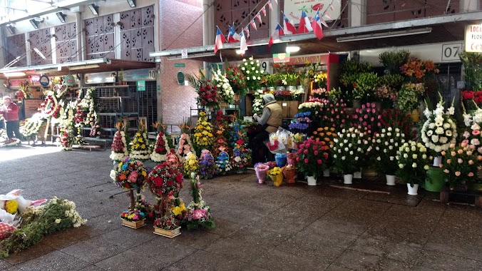 Mercado de Flores, Author: Farid Monti