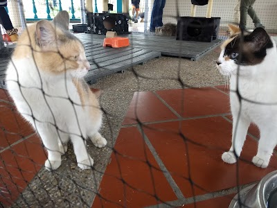 Photos of Zoonosis Bogot&aacute;