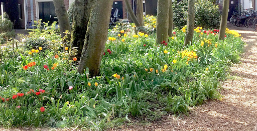 Toon yland plantsoen