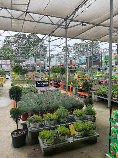 Evans Exchange - Visual