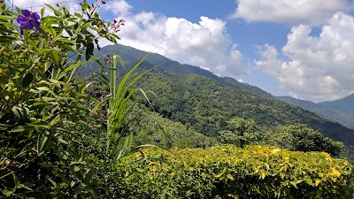 Photos of Blue Mountain Bicycle Tours