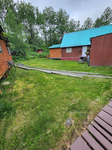 Munsey's Bear Camp - Visual