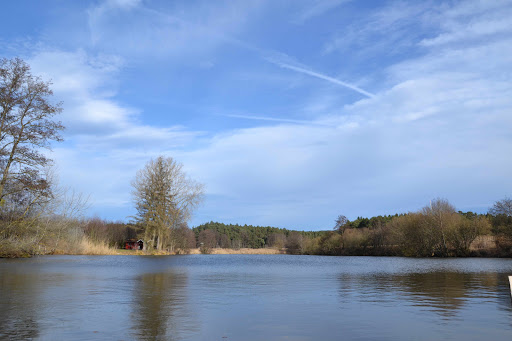 Fischladen - Teichgut Freundstal - Thumbnail