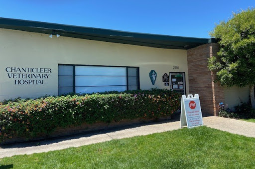 Chanticleer Veterinary Hospital Logo