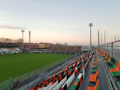 Pier Luigi Penzo Stadium