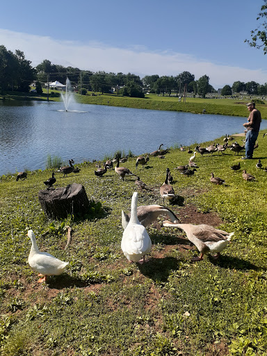 Lake Mingo Park - Thumbnail