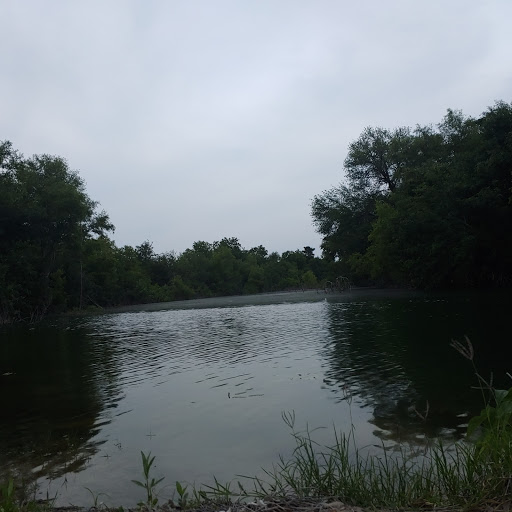 El Campestre - Visual