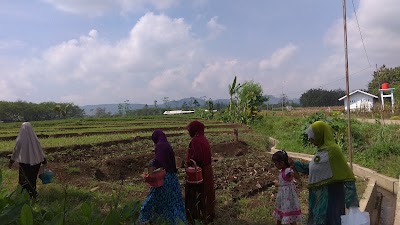 Photos of AGRICULTURAL TECHNOLOGY PARK LEBAKSIU