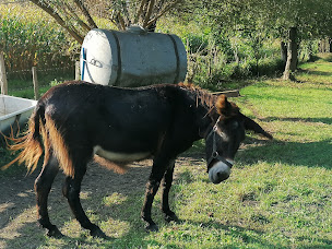 Photo n°15 de COACH'IN GRESIVAUDAN à Biviers (Coach particulier)