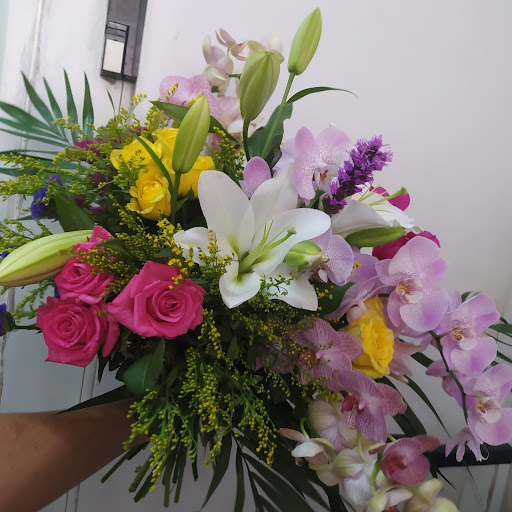 Mara Floristería - Thumbnail