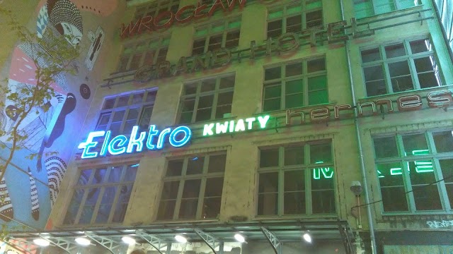 Czarny Kot Klub