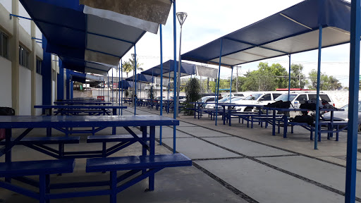 Preparatory Academic Unit 13 - Thumbnail