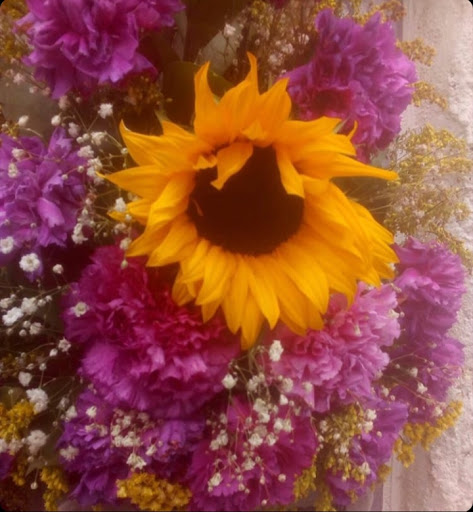 Olgas Fresh Flowers & Gifts - Thumbnail