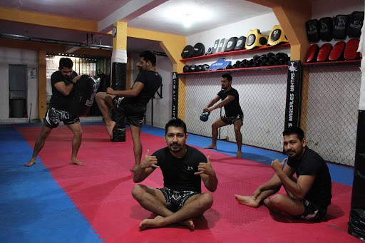 Academia Gladiadores - Thumbnail