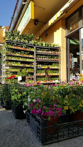 Agr.In.Ar. Market - Visual